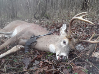 Josh Chauvin dropped this 7-pointer with his .44 mag Contender pistol after the buck walked directly into the treetop he was hunting.