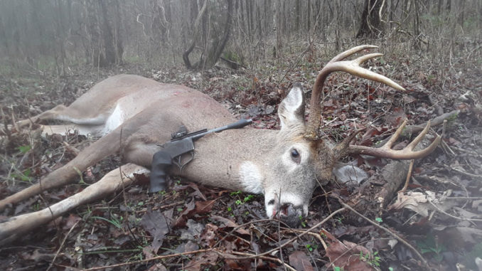 Josh Chauvin dropped this 7-pointer with his .44 mag Contender pistol after the buck walked directly into the treetop he was hunting.