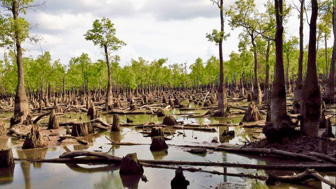 Cheniere Lake was basically emptied when flooding in 2016 washed away the bridge and spillway that impounded the 3,600-acre lake.
