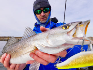 Fluorocarbon leaders are the norm when fishing jerkbaits because of its natural low visibility underwater.