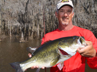 The secret for success during spawning season is hitting as many trees as quickly as possible.