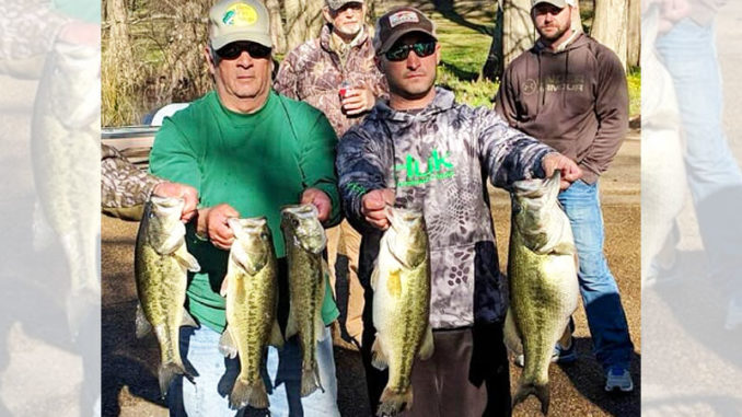 Five Lake Bruin bass like this will win any tournament or make any weekend angler happy.