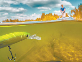 Fertilizing small ponds this month will kick-start growth at the bottom of the food chain that leads to healthier fish populations, good fishing.