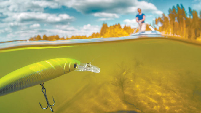 Fertilizing small ponds this month will kick-start growth at the bottom of the food chain that leads to healthier fish populations, good fishing.