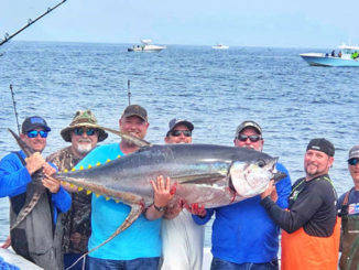 The captains with Paradise Outfitters have caught seven yellowfin tuna weighing over 150 pounds fishing Venice, Louisiana.