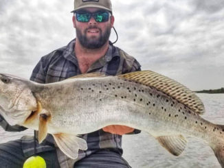Capt. Brian Windsor of Hackberry caught this 7 ½-pound speckled trout on a bone-colored Heddon One Knocker Spook topwater lure on March 14.