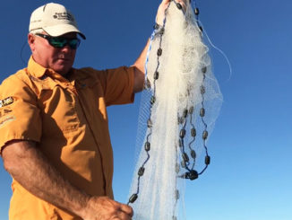 A cast net is a primary tool for fishermen to catch live bait of all kinds.