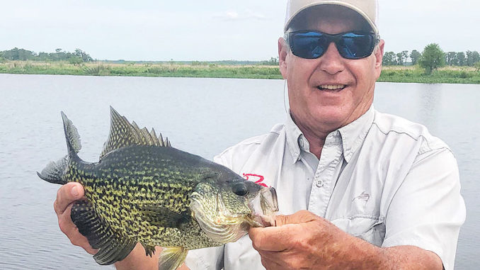 Sac-a-lait have moved into Lake Des Allemands and will remain there throughout the summer, says local fishing expert Mike White.