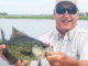 Sac-a-lait have moved into Lake Des Allemands and will remain there throughout the summer, says local fishing expert Mike White.
