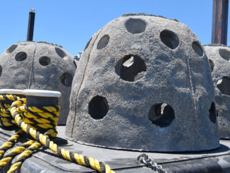 Reefballs like this one, along with large chunks of limestone and some shells, will be used in construction of new artificial reefs proposed for four sites in Lake Borgne and the Mississippi Sound.