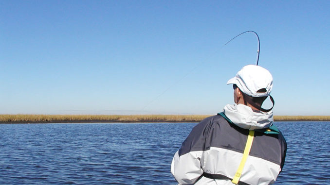 Having a tug-of-war with big fish in shallow water is the main attraction to saltwater fly fishing.