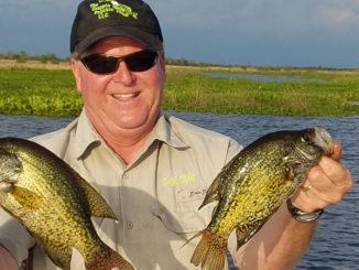Canals around Lake Des Allemands and Bayou Gauche produce nice crappie in May and June.