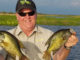Canals around Lake Des Allemands and Bayou Gauche produce nice crappie in May and June.