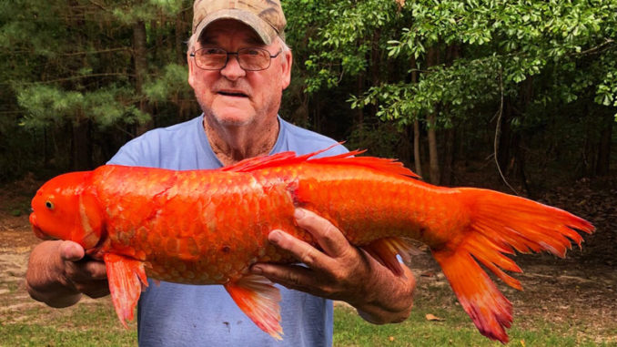 Fisherman Tuffy Fields with the surprise catch.