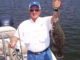 The minimum size for tripletail is 18 inches.