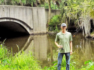 Whenever Danny Malone of Mandeville goes fishing in the Park, he’s been catching a lot of cichlids.