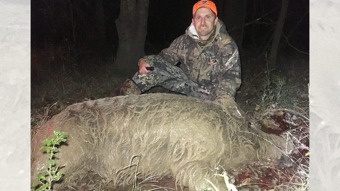 Hunters can help with the wild hog population by trapping, shooting or hunting hogs with dogs. Brice Jones killed this wild boar in West Monroe on Nov. 28. It weighed approximately 350 pounds.