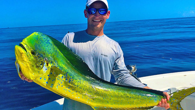 Rip lines where different currents collide, often collecting grass or trash, will hold plenty of Gulf dolphin.