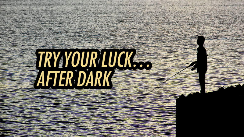 How you go about night fishing can spell the difference between a successful outing and losing sleep. Keep these five steps in mind.