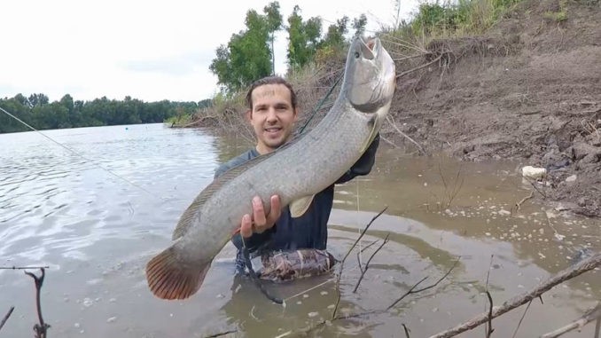 The author untangled this big choupique under the water at a running cut into the Mississippi River.