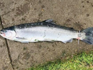 Photo by Jim Nelligan