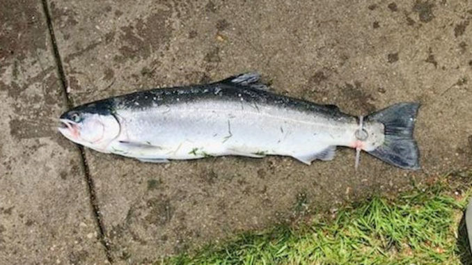 Photo by Jim Nelligan