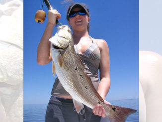 Despite flooding and a blue-green algae bloom, Gulf fishermen are still catching plenty of redfish, even though they might be in different areas.