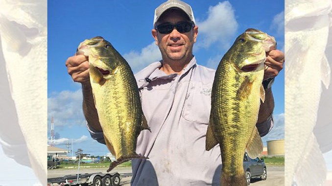Venice bass are biting on higher water since the amount of roseau cane has diminished.