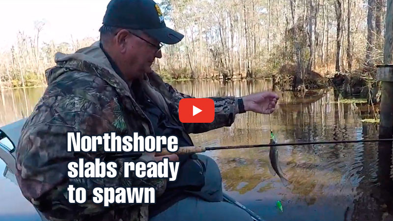 Ray Miller said February is when crappie are easily accessible in the Tchefuncte River because the spawn brings them into the shallows.