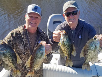 Tony (left) and Otis Taylor with some Bayou Des Allemands sac-a-lait.
