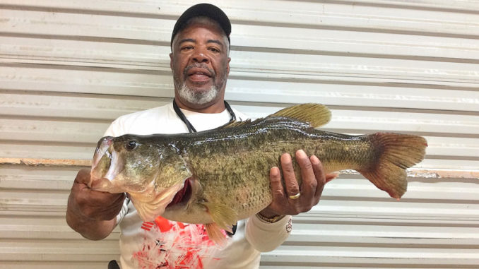 Michael Kelly of Zachary displays his huge Toledo Bend 10.45-pounder taken near Alpine Landing on a YUM Dinger Bama Bug. (Photo courtesy of Toledo Bend Lake Association)