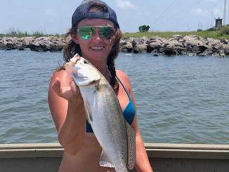 This speckled trout was caught in Grand Isle on May 22 by Shae Stevens. She was free lining live shrimp.