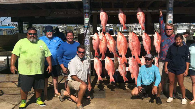 On July 18, (left to right) Chuk Cole, Bob Cole, Jessica Spooner, Tracey Jones, Corey Harwell, Matthew Spooner, Sailor Cole and Shelby Cole caught these snapper on a trip out of Venice.