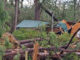 This guest cabin at Sam Houston Jones Park is destroyed, as is the pine forest surrounding it.