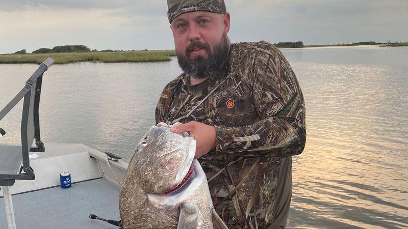 Bull drum