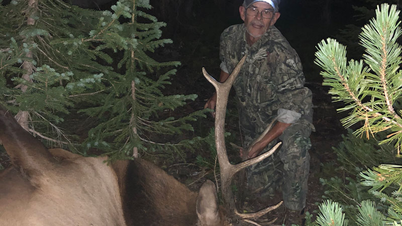 Public land archery elk at 11,000 feet