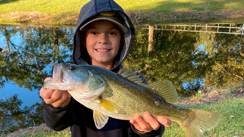 Backyard bass