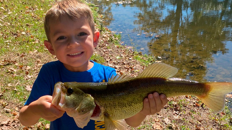 Mason's pond bass