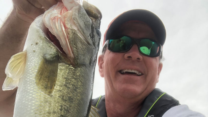 Fish before the storm