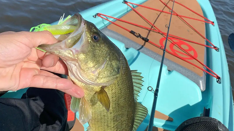 Bank-fisherman expands boundaries with kayak