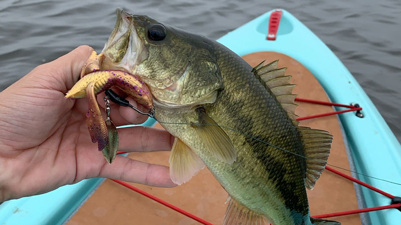 Kayak fishing in Dulac