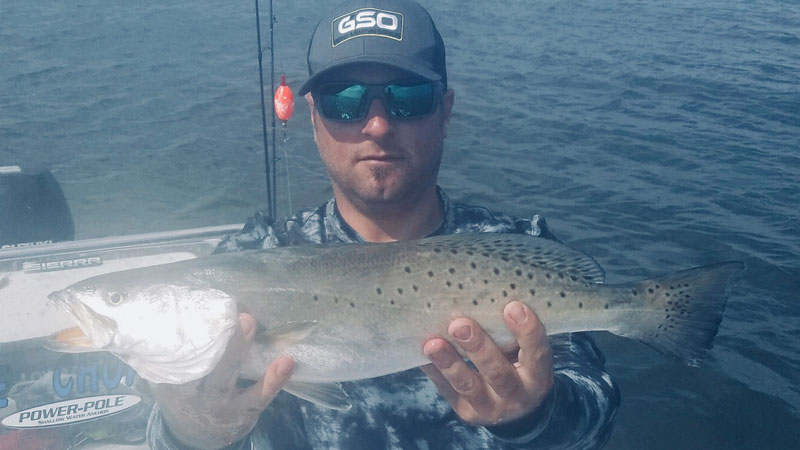Fourchon mule trout