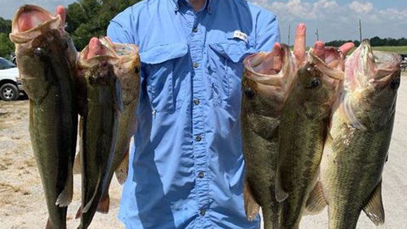 Henderson bass