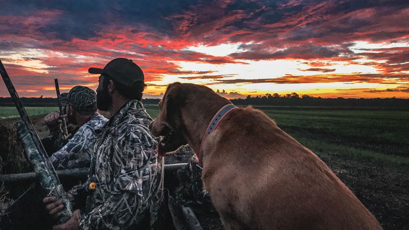 Teal season opener