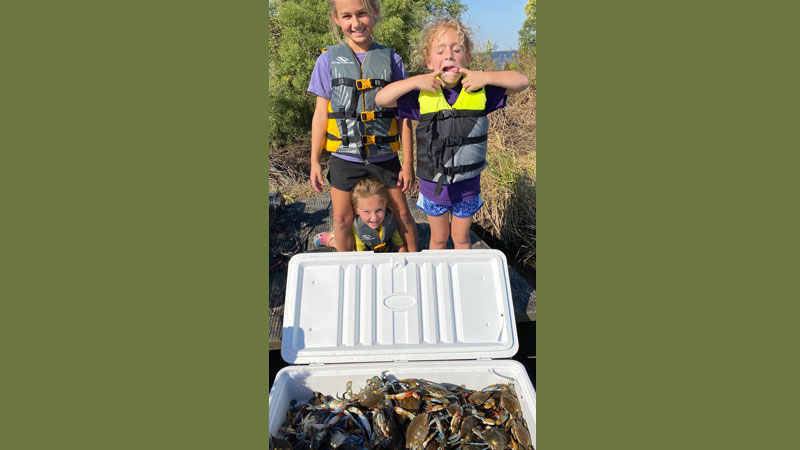 Pointe au Chien blue crabs