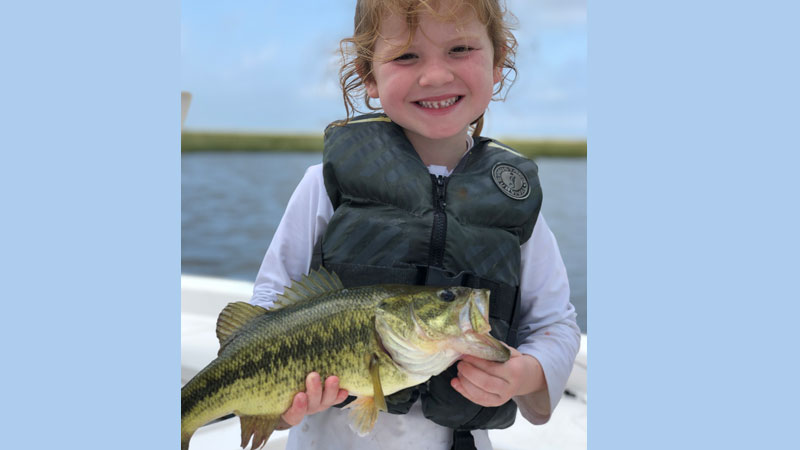 Big marsh bass