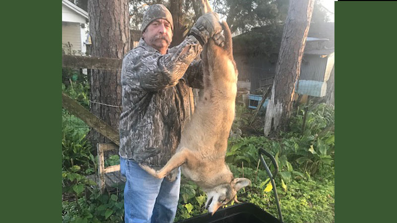 Terry's predator control