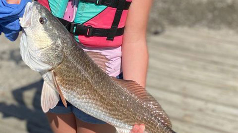 Olivia's Grand Isle redfish