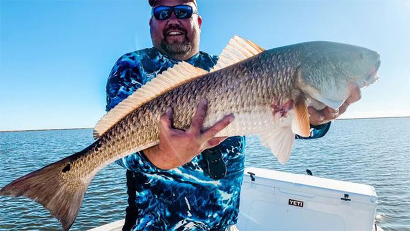 Lake Robin redfish