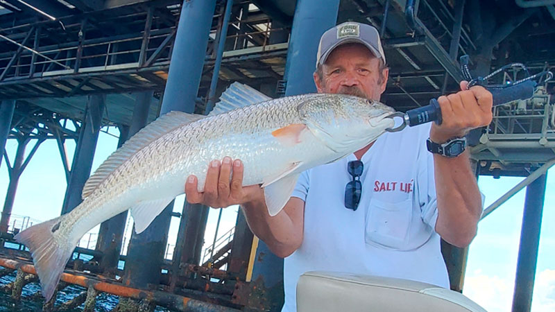 Port Fourchon redfish
